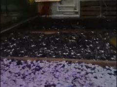 -赛纳河休闲商务会馆(天宁寺店)