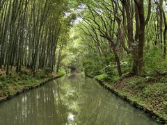 -同里国家湿地公园