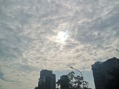 -天空花园餐吧·生日·团建(南山店)