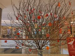 -龙悦湾酒家·八阵鱼生·渔人码头店