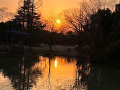 -上海滨江森林公园