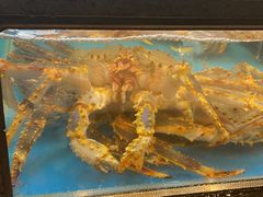 -盒马鲜生(宝地店)