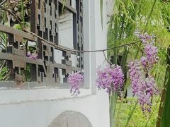 -柳侯公园