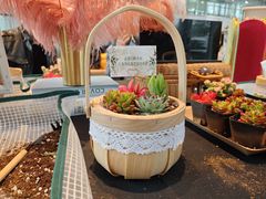 -奔驰上海利星(七宝店)