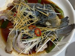 -煲来饱去冷水鱼