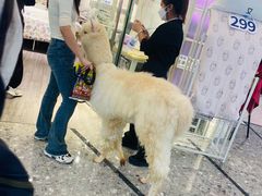 -万达茂商场(南京仙林店)