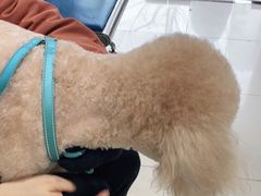 -申普宠物医院·眼科·心内科·影像科(普陀分院)