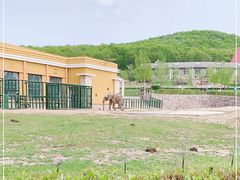 -哈尔滨北方森林动物园