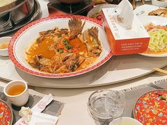 -玉田印象