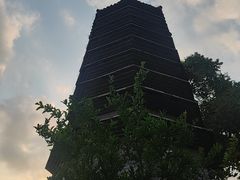 -正阳书局(西四南大街店)