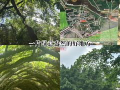 -广西壮族自治区药用植物园