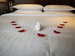 -广州粤海喜来登酒店