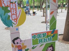 -将府公园