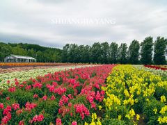 -富田农场