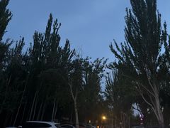 -伊犁河景区