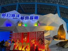 -泉城欧乐堡海洋极地世界