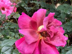 -人民公园(罗湖区)