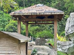 -黔灵山公园