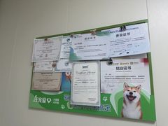 -美联众合动物医院·24h京西诊疗中心