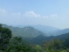 -大岭沟猕猴桃谷风景区