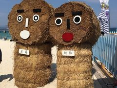 -三亚蜈支洲岛旅游区