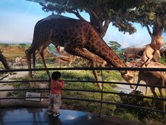 -国家自然博物馆