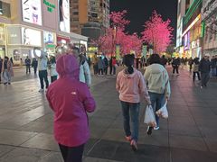 -南屏步行街