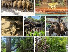 -长鹿旅游休博园
