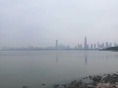 -宝安西湾红树林湿地公园