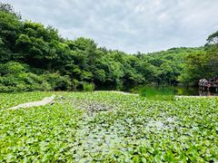 -天目湖山水园