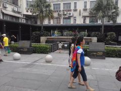 -大湾区中央湿地公园-十九涌