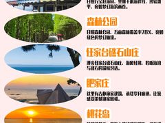 -日照海滨国家森林公园