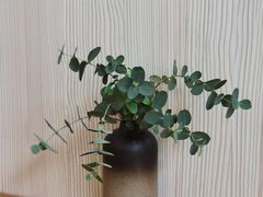 -尤加利咖啡馆