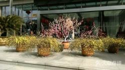 -南京市妇幼保健院(莫愁路院区)