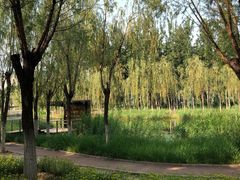 -中关村生命科学园