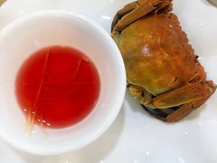 -渝君重庆火锅(嘉宾路店)