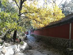 -阳台山自然风景区