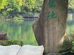 -白马涧龙池景区