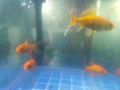 -九龙谷漂流