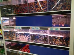 -大润发(王庄店)