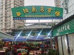 -曲阳花鸟市场(曲阳路店)