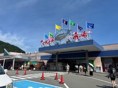 -南纪白浜Toretore市场