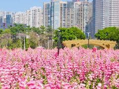 -海心沙亚运公园