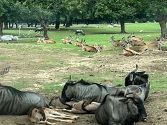 -西安秦岭野生动物园