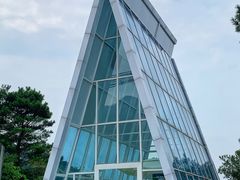 -南丹山森林王国