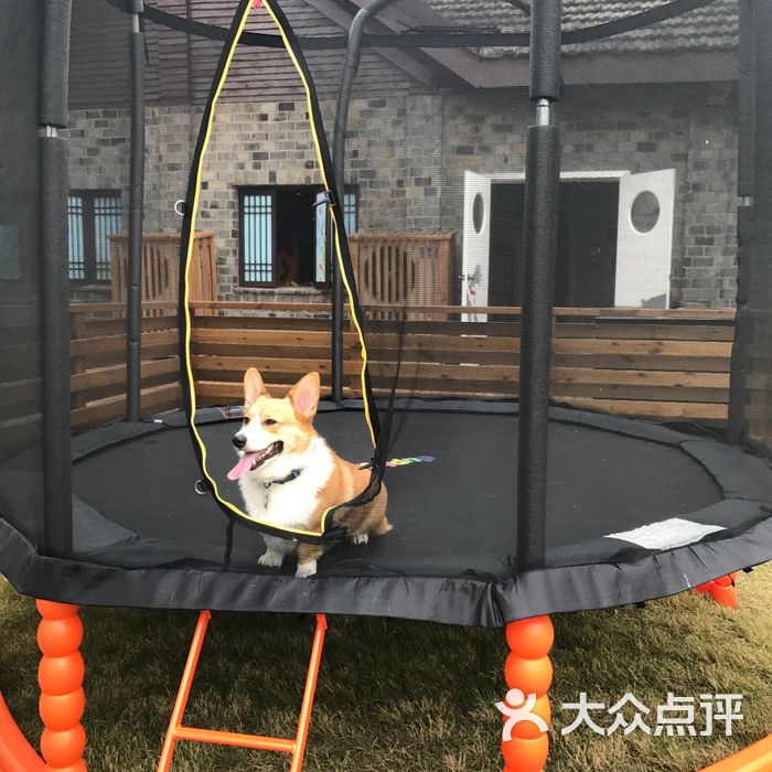 太阳岛宠物乐园