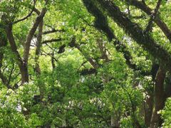 -溪口-滕头旅游景区