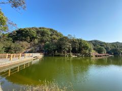 -广州市石门国家森林公园