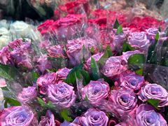 -循礼门鲜花花市(武汉循礼门店)