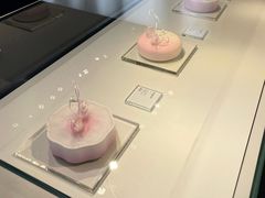 -BLACKSWAN黑天鹅(环球店)